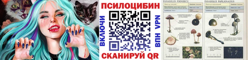 МЕГА как зайти  Балахна  Галлюциногенные грибы GOLDEN TEACHER 