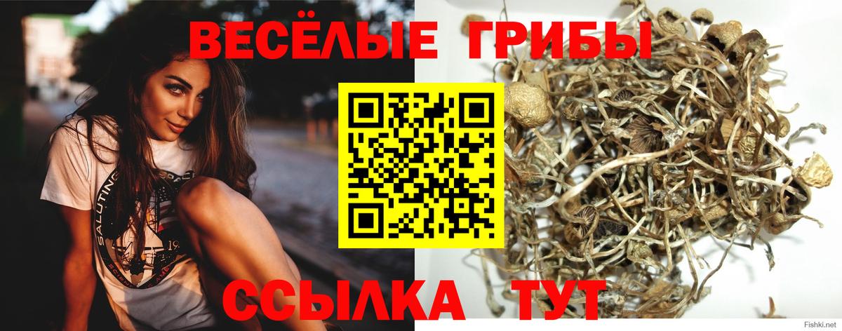 Балахна  Галлюциногенные грибы Magic Shrooms  Вход с VPN  Галлюциногенные грибы мицелий 