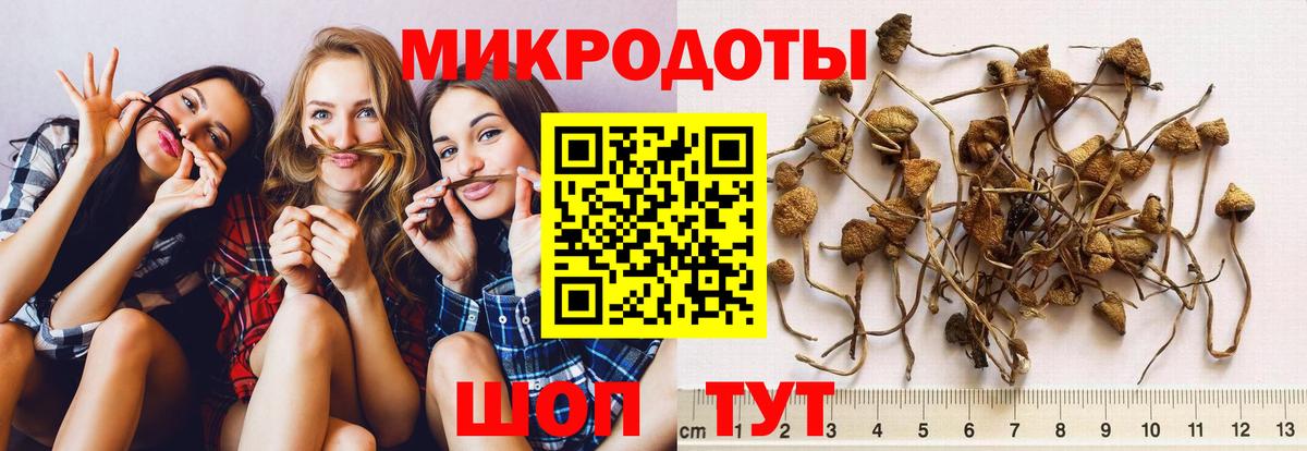 Псилоцибиновые грибы Magic Shrooms Балахна
