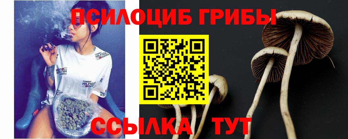 Галлюциногенные грибы ЛСД Балахна